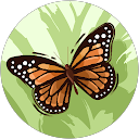 Susan A profile picture